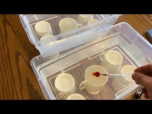 Lesson 12 Investigation Set Up - 6.3 Weather, Climate & Water Cycling