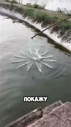 Он попытался порыбачить с уткой, и вот что получилось 😱 #short