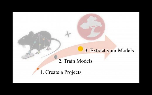 【DeepLabCut】从项目创建到模型导出