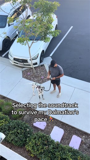 Runaholic Dalmatian 🤝 10 miles #runner #running #dalmatian #spotify