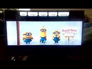 Opening/Closing To Despicable Me 2 2013 DVD