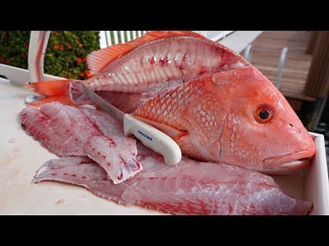 Cleaning BIG Red Snapper! How to Fillet!