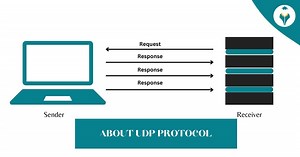 Learning All About UDP Protocol - Shiksha Online