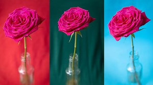 RGB histograms: pro tips for perfect colors every time