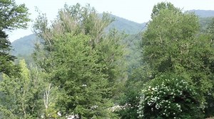 #ICYMI: The Cherokee Nation and Eastern Band of Cherokee Indians joined as sister tribes at the historic Kituwah Mound near Cherokee, North Carolina, recently to sign an agreement to protect and preserve the Cherokee language, history and culture. With the Cherokee language in a state of emergency, the tribes signed a memorandum of agreement to develop collaborative projects and opportunities to support and increase the Cherokee language. The tribes agreed to share resources, also working with W