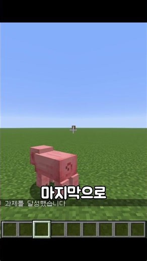 줌 모드