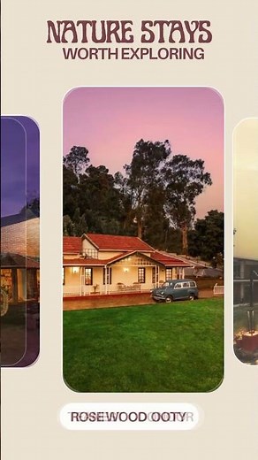 Nature stays worth exploring 🌿 — every path leads to peace, every view tells a story.