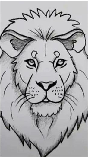 EASY LION FACE DRAWING
