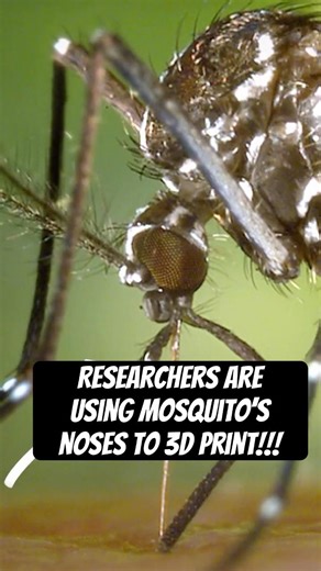 Researcher's are using Mosquitoes Nose’s as 3D Printing Nozzles!