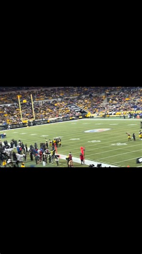 Renegade getting booed is a bad day! #fypシ゚viralシfypシ゚ #fypシ゚viralシ #fypageシ #fypシ #fyp #PittsburghSteelers #Steelers #NFLFootball #NFL #SteelersNation #renegade | Maria Christina | Facebook