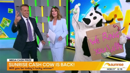 Sunrise Cash Cow