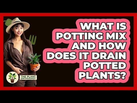 What Is Potting Mix And How Does It Drain Potted Plants? - The Plant Enthusiast