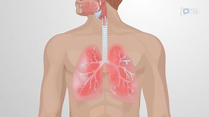 Video: Common Respiratory Disorders