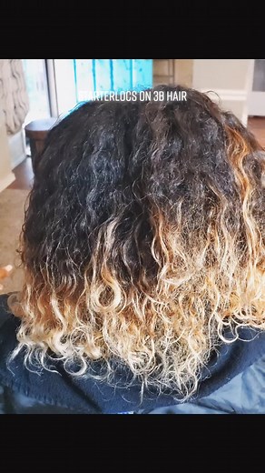 Achieving Starter Locs on 3B Hair With 2 Strand Twists