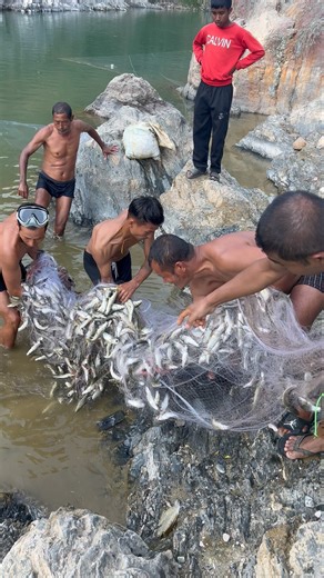 Omg 😱 amazing gill net fishing #fishing #fishinglife #nepalfishing