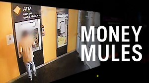 Money mules and their integral role in laundering stolen money