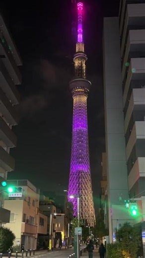 晴空塔 #地标建筑 #日本晴空塔#东京#城市夜景