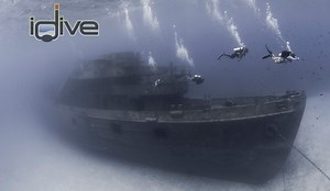 The thought of strapping on an air cylinder, jumping off a boat, and entering a sunken ship sends shivers down the spine of the average human being. Our community is definitely not average. We are explorers, thrill seekers, and lovers of all things ocean. We find beauty where others find fear, we seek out the unknown and strive to understand it's delicate nature in hopes of sharing that knowledge with others. We are divers and this is why we dive. This is why iDive! | IDive