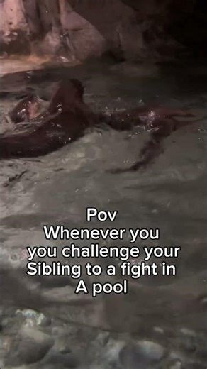 Pool fight #comedy #shorts #viral