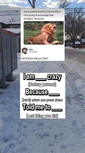 Don't check the sound 🦁🔥 #funny #memes