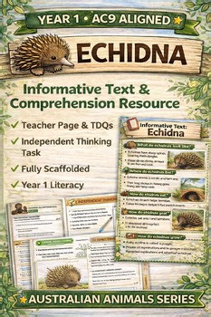 Year 1 Australian Animals: Echidna Informative Text, TDQs & Student Task