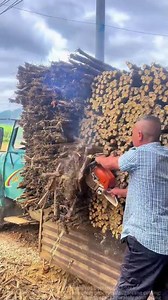 Sugarcane Cutting Tips: From Start to Finish, Efficiency Doubles!