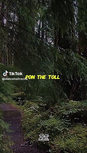 Popcaan - Imeru Tafari — Elevate🎙️. #fyp #dancehallrecite #popcaan #imerutafari #fyppppppppppppppppppppppp