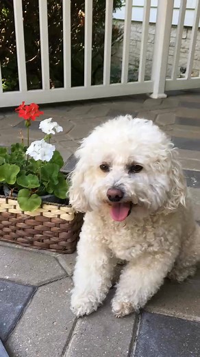 Fyllis Ward on Reels