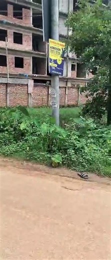 Small Moments, Big Stories 🌍✨