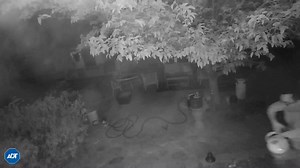 Mohave County Sheriff's Office on Reels