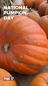 6.8K views · 27 reactions | Whether you like them round and smooth or oblong and bumpy, today's the day to celebrate your pumpkin! | FOX 17 | Facebook