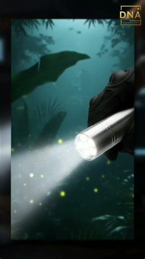 Portable Mini Torch 🔦 | Practical. Compact. Reliable. #dnaestore