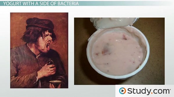 Lactic Acid Fermentation in Food | Overview, Bacteria & Products