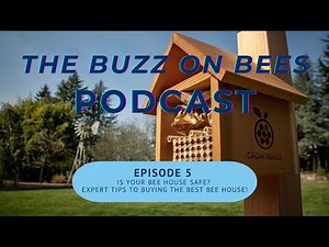 Is Your Bee House Safe? Expert Tips to Buying the Best Bee House! | Ep. 5
