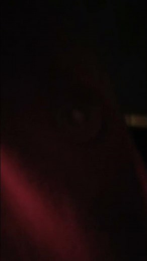 3 de septiembre de 2025