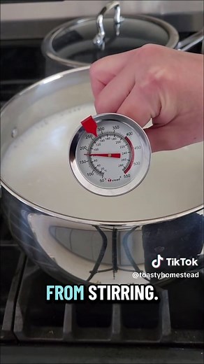 Homemade Cottage Cheese Recipe Under $3
