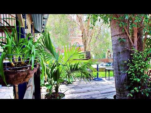 Brisbane Manor Hotel, Fortitude Valley, Australia | Travel With Chitra