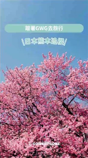 【日本賞櫻全攻略】《跟著GWG去旅行》第1集｜走進熊本：一場慢下來的九州追櫻之旅》#shots