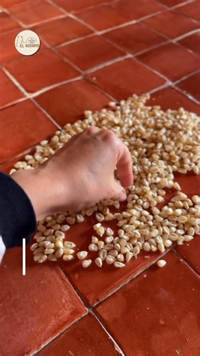 13 reactions · 6 comments | ✨ RITUAL DE ABUNDANCIA 2026 ✨ Portal...