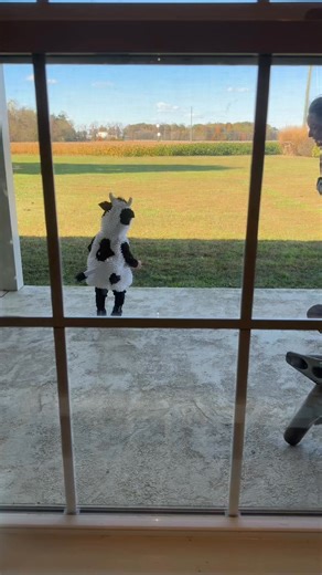 2.7K views | A ✨masterpiece✨ and the cutest cow you have ever seen! | Jeff and Cate | Facebook