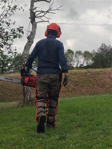 Zetor, premier tracteur de la collection de Nicolas et sans doute le plus indispensable. Il nous a sauvés la mise d'innombrables fois. Cette fois-ci, nous étions occupés au jardin, notamment à enlever les arbres morts du terrain, et le Zetor a été à la hauteur 😎🚜 . . . Zetor, the first tractor in Nicolas's collection and undoubtedly the most indispensable. It's saved us countless times. This time, we were busy in the garden, specifically removing dead trees from the property, and the Zetor was
