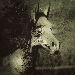 Animated pony ride bizarro