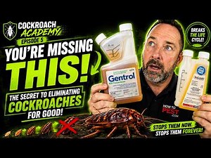 🪳 You're Missing THIS! The Secret to Eliminating Cockroaches for GOOD | Cockroach Academy Ep. 5