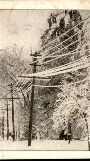 1911 Ice Storm Decatur Michigan Postcard Frozen Trees Heavy Ice Power Lines #shorts