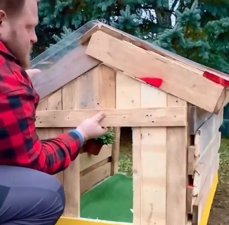 Building dog house with a view! | 5-Minute Crafts