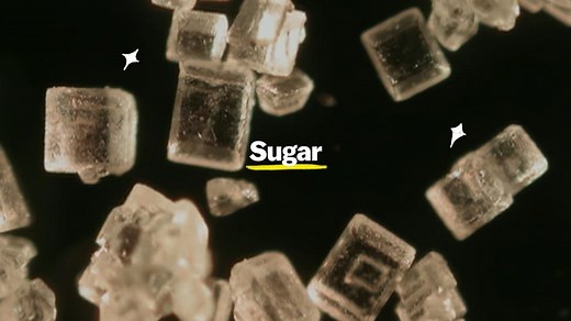 Netflix's Explained Season 3 Episode 1 Recap: Bitter Reality of Sugar! | Leisurebyte