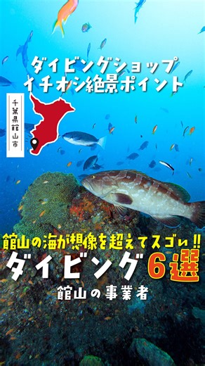 千葉県館山で体験できる観光と遊び | 【体験の観光旅行】@activities_intateyama 千葉県館山市でのさまざまな体験をご紹介 🎣🏞️——🏕️🤿 黒潮の恵みを受ける館山の海は、カラフルな魚たちやサンゴ礁に出会える素晴らしいダイビングスポットがいっぱい🌊✨... | Instagram