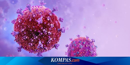 16 Penyakit pada Manusia yang Disebabkan oleh Virus