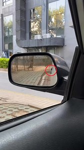 102K views · 397 reactions | Correctly adjusting the rearview mirror can avoid 59% of traffic accidents | Driver Hermione | Facebook