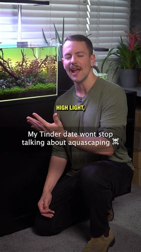 Dating an aquarium nerd ☠️ #aquariums #aquascaping #fishtank #plantedtank